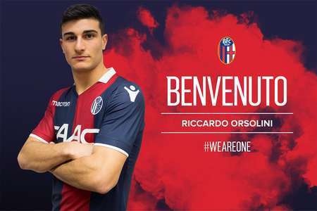 慰和互动体 慰和互动体