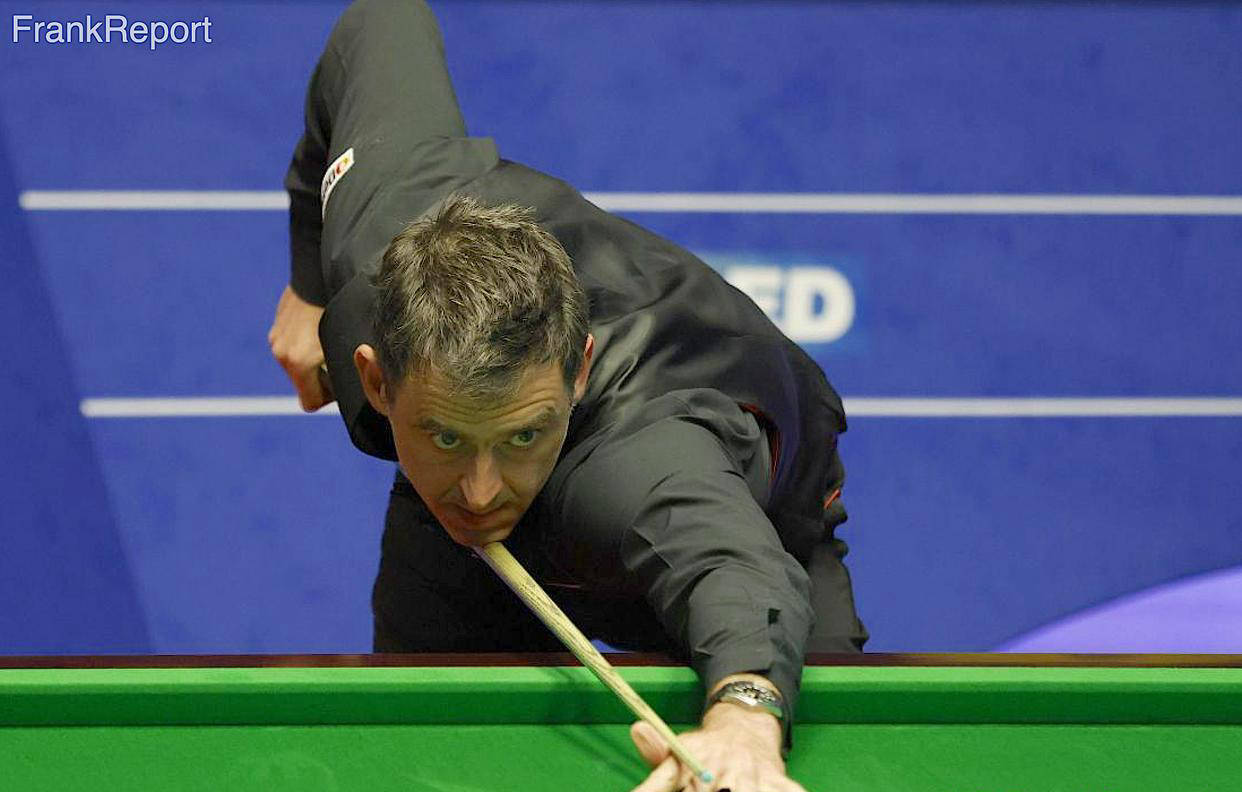 毛球项目注 毛球项目注