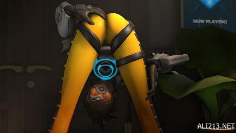 我们将为你 我们将为你